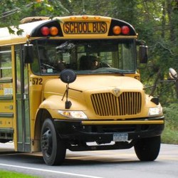 Bus Registration
